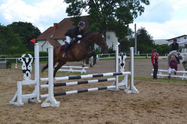 reitertag 2013 126